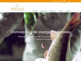 Application web : Delasia